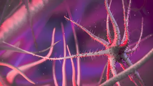 Legionella, come si prende: cause, trasmissione e prevenzione