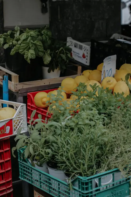 Grosseto, Confesercenti: “Salvare il mercato coperto significa salvare la città”