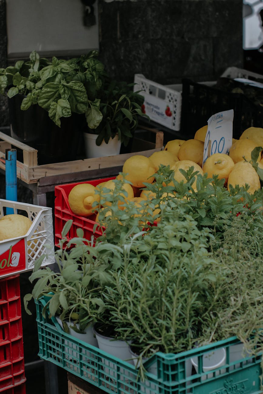 Grosseto, Confesercenti: “Salvare il mercato coperto significa salvare la città”