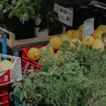 Grosseto, Confesercenti: “Salvare il mercato coperto significa salvare la città”