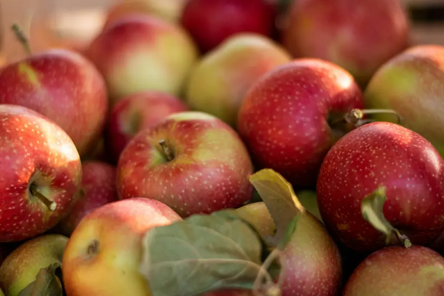 Benessere a tavola, incontro gratuito a Villa Bandini