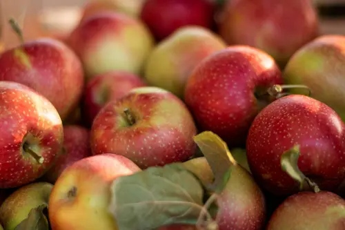 Benessere a tavola, incontro gratuito a Villa Bandini