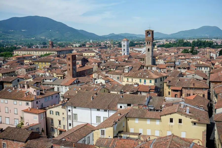 Lucca, moria di pesci nel Condotto Pubblico: ossigeno quasi assente