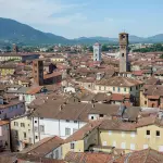 Lucca, moria di pesci nel Condotto Pubblico: ossigeno quasi assente