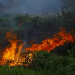 Incendio alla Green 4 di Borgo a Mozzano, ARPAT campiona i terreni