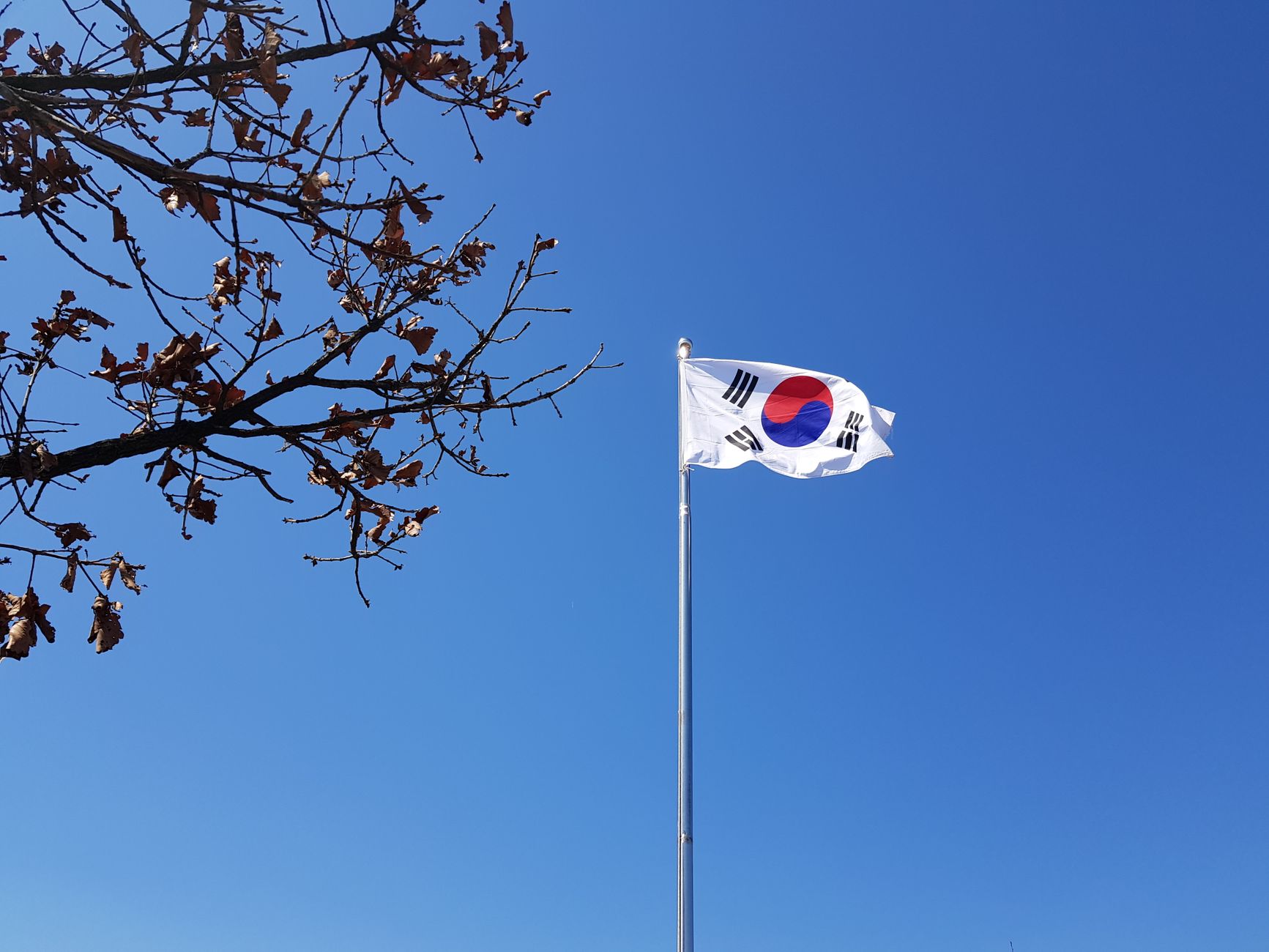 Firenze accoglie Lee Jae Myung: incontro con Funaro e Giani