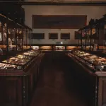 Firenze, riapre il Museo di Geologia e Paleontologia