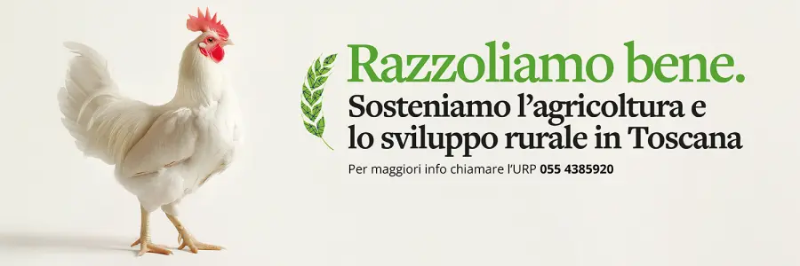 Sviluppo rurale, dalla Toscana tre bandi 2026 per sostenere l’agricoltura nelle aree montane e svantaggiate