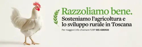 Sviluppo rurale, dalla Toscana tre bandi 2026 per sostenere l’agricoltura nelle aree montane e svantaggiate