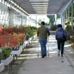 Toscana, protocollo “Piante di Toscana” per il vivaismo