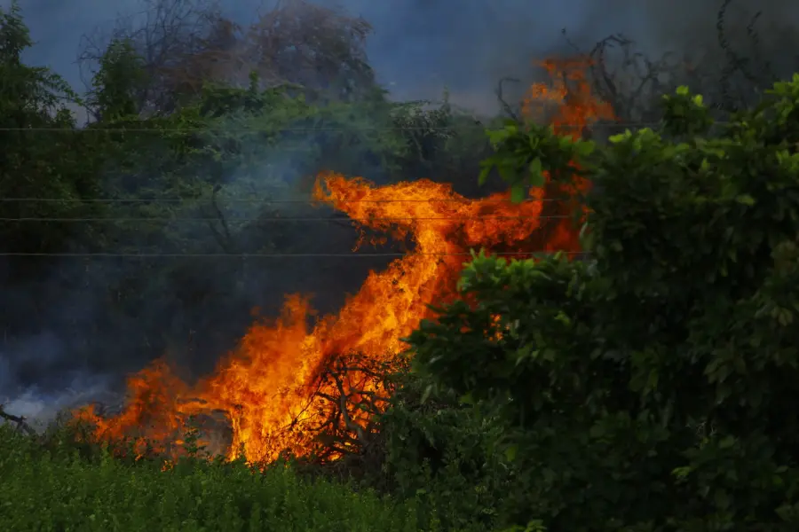 Toscana, Aib 2026 al via: 151 incendi e nuovo piano clima