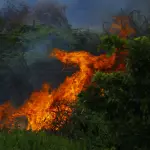 Toscana, Aib 2026 al via: 151 incendi e nuovo piano clima