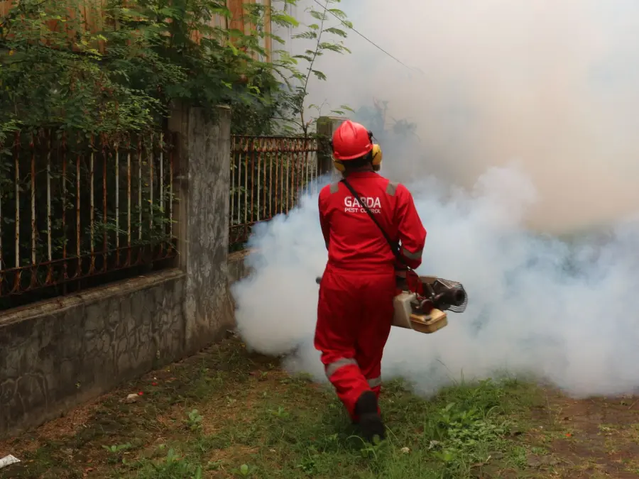 Firenze, disinfestazione blatte dal 6 agosto: vie e calendario