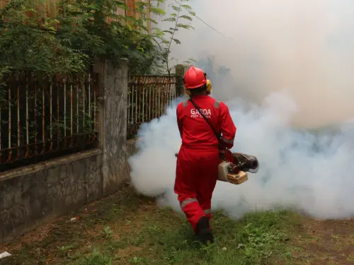 Firenze, disinfestazione blatte dal 6 agosto: vie e calendario