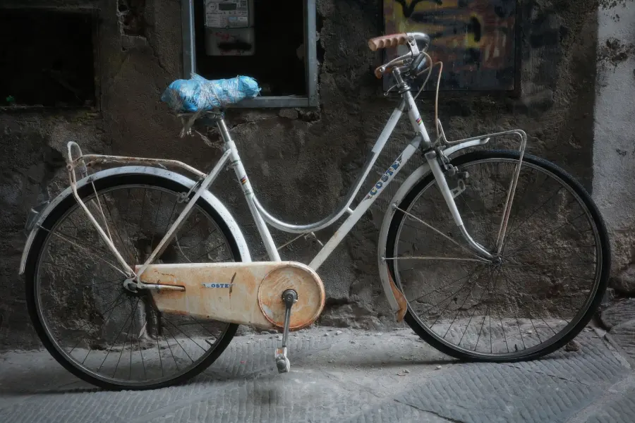Firenze, 12,88 milioni per ciclovie e mobilità sostenibile