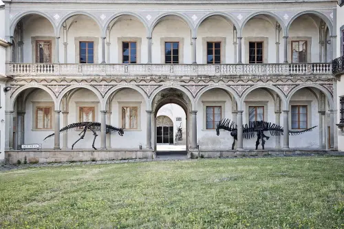 Museo di Storia Naturale dell’Università di Pisa: uno dei più antichi musei scientifici al mondo