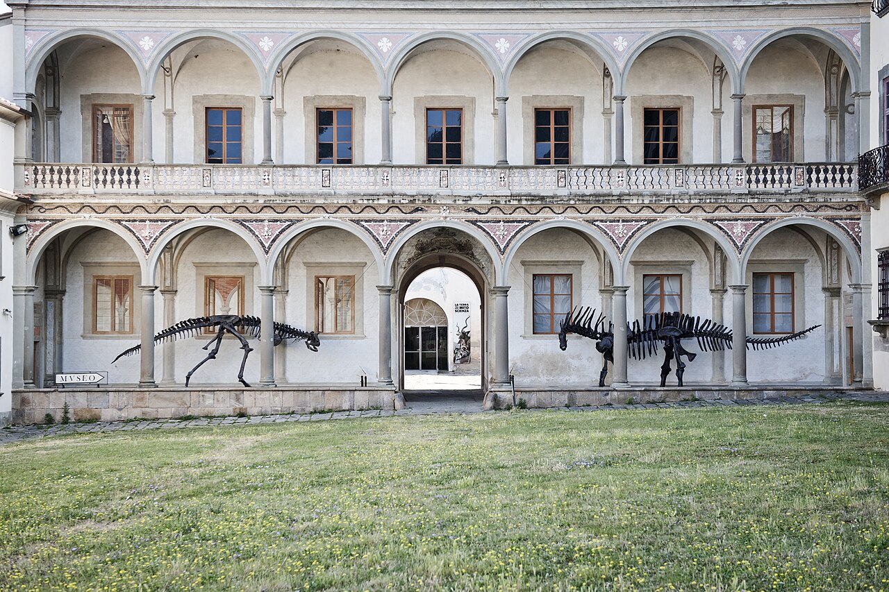 Museo di Storia Naturale dell’Università di Pisa: uno dei più antichi musei scientifici al mondo